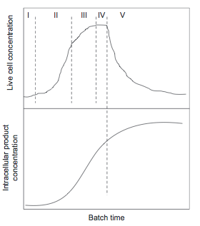 Cell Growth Rate.png