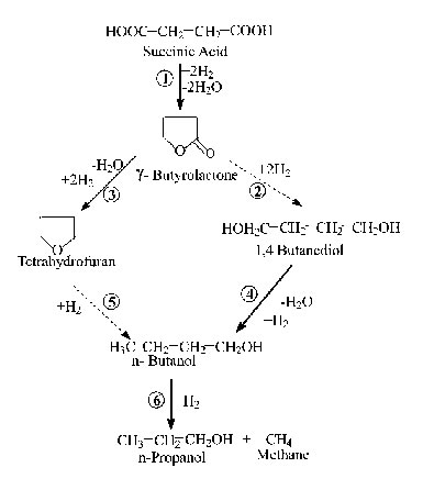 Reaction Mechanism.jpg